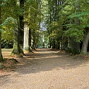 037 Het hoofdpad was er erg mooi om te zien